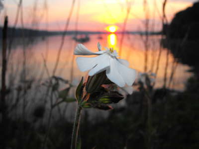 2008_0404march100027