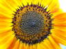 2008_0613march100102