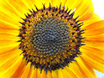 2008_0613march100102