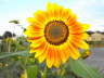 2008_0613march100109